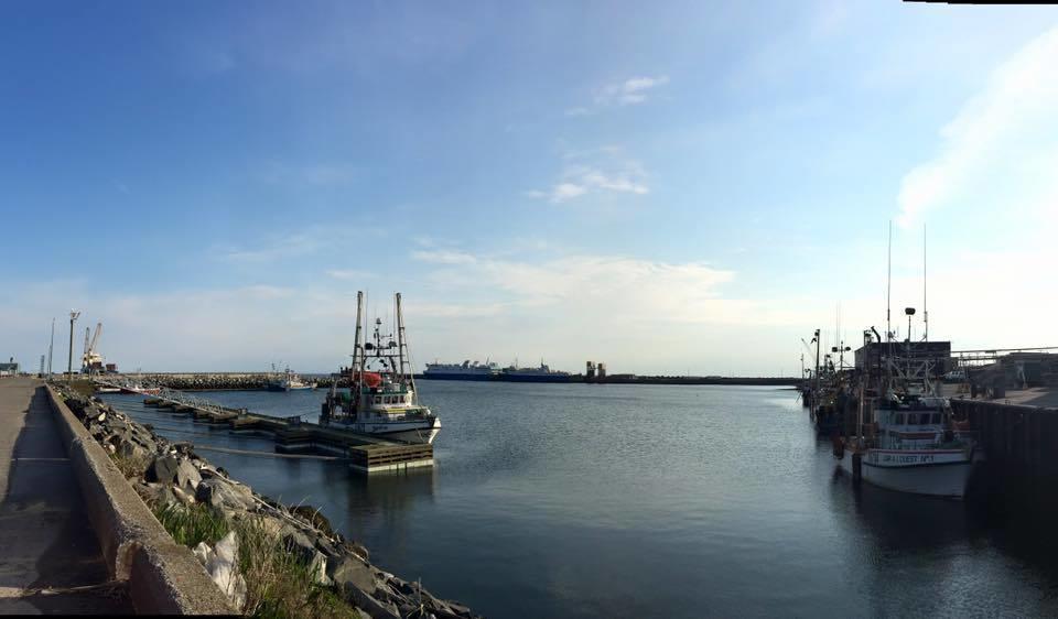 Pêche à Matane